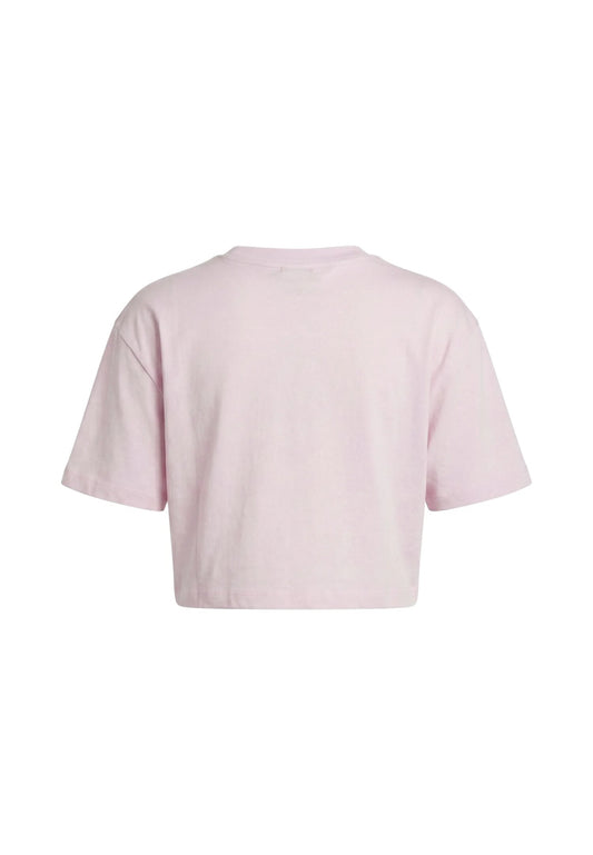 034891.ROSA_3.jpg