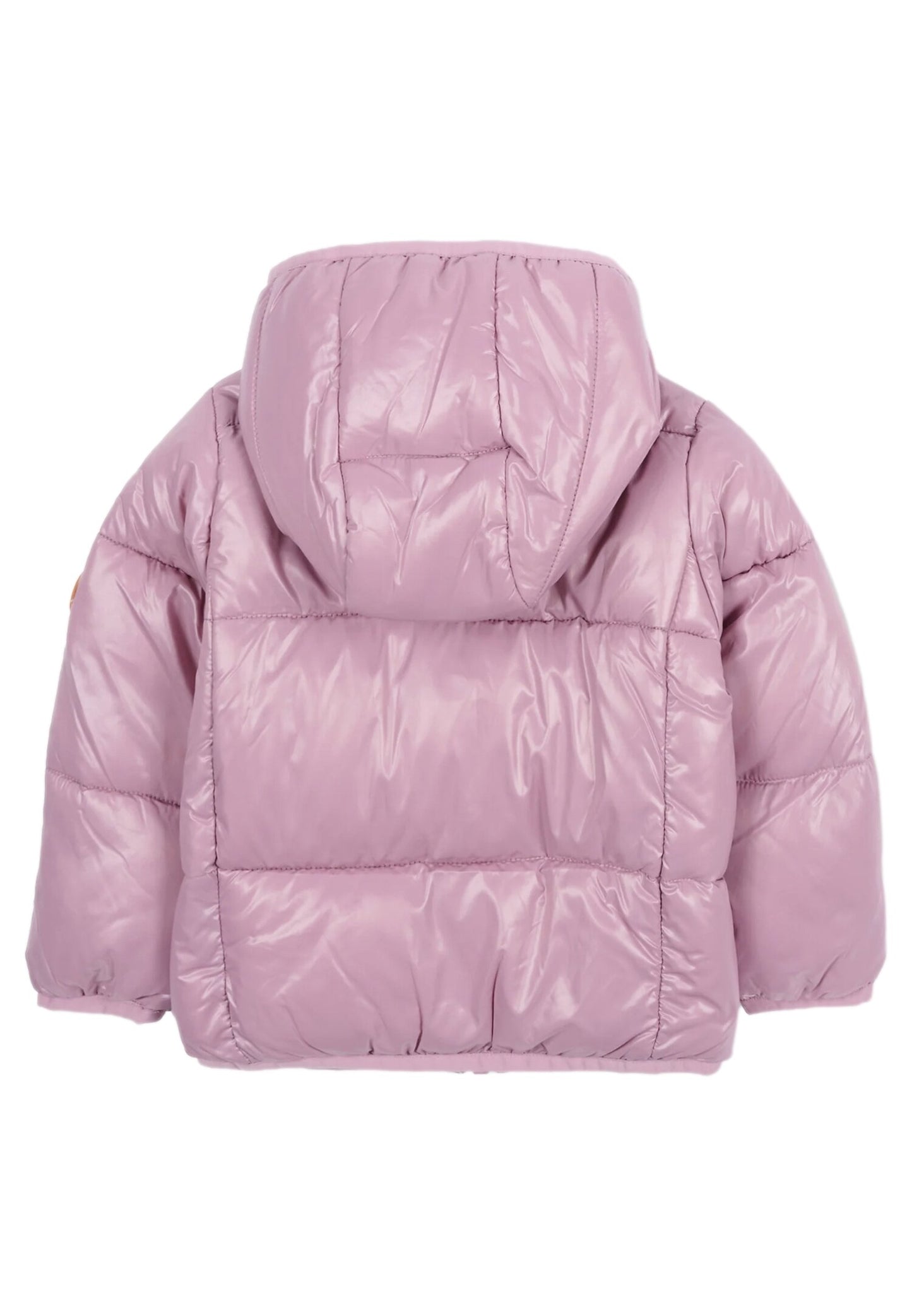 034321.ROSA_3.jpg