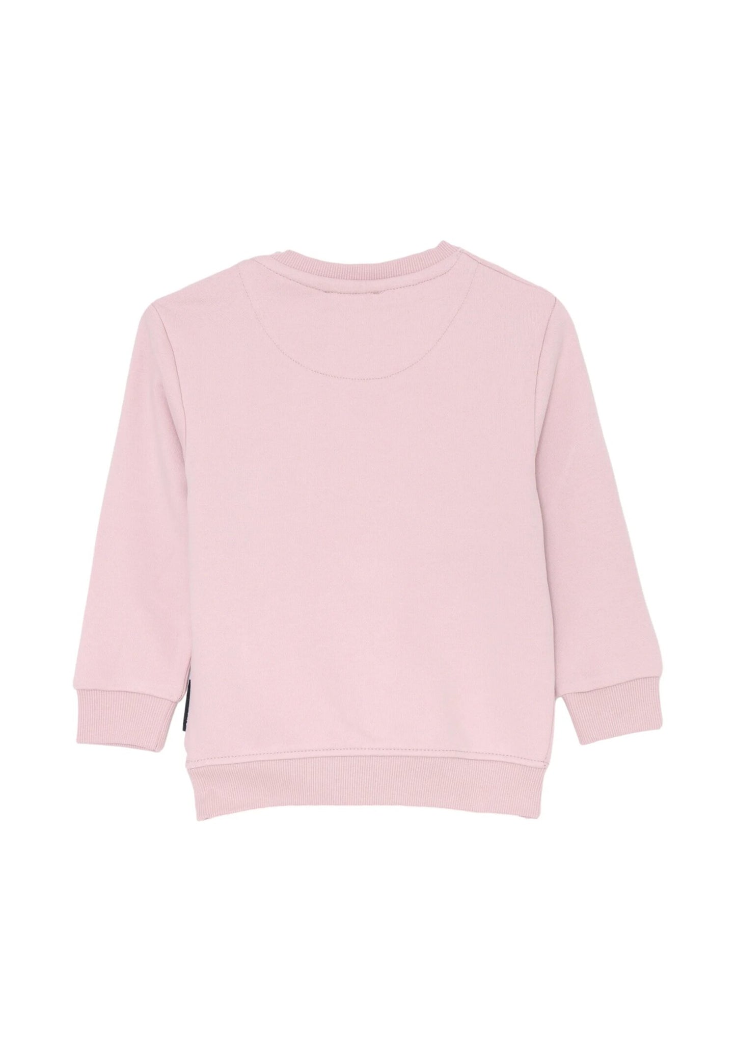 033831.ROSA_5.jpg