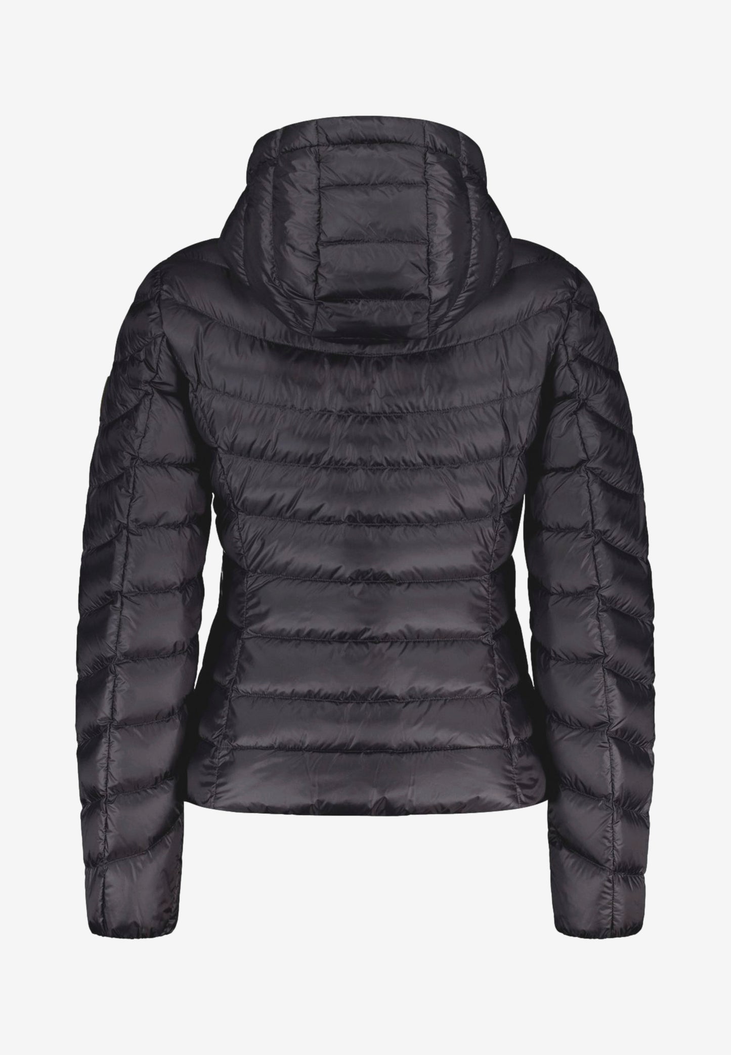 Ciesse Piumini giubbotto donna Ary nero con cappuccio