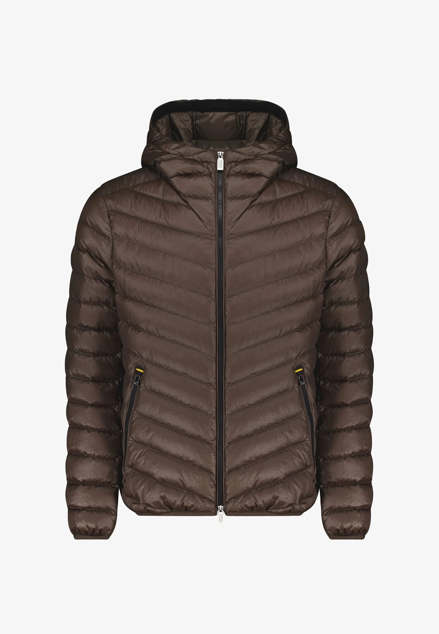 Ciesse Piumini Giubbotto Marrone Uomo In Nylon Con Cappuccio Invernale AI25