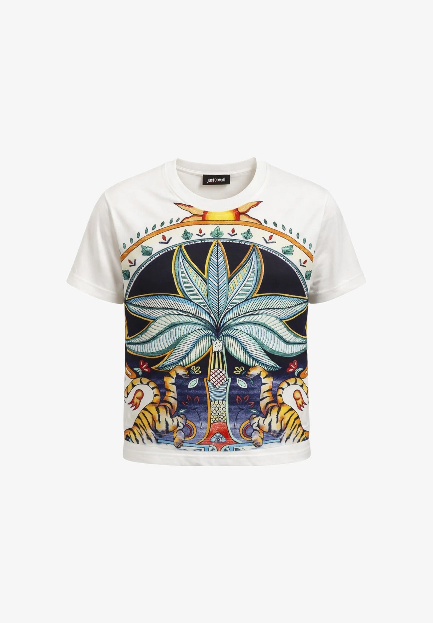 035018.BIA_2.jpg