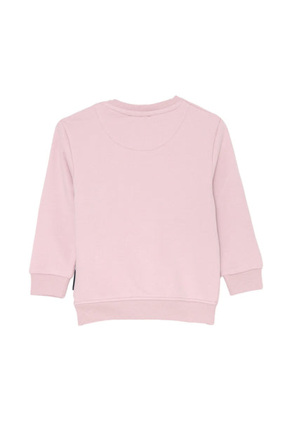 033831.ROSA_5.jpg