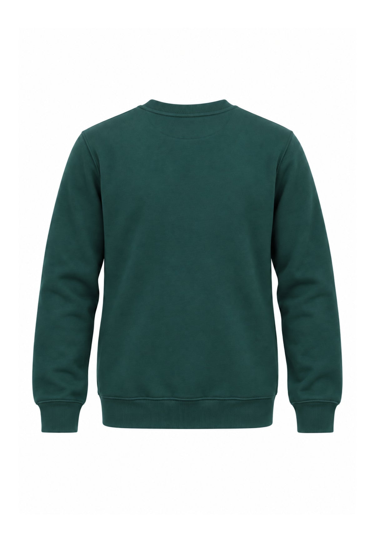 DS2 FELPA VERDE A GIROCOLLO CON LOGO CENTRALE Bambini e ragazzi F62K281.VER_