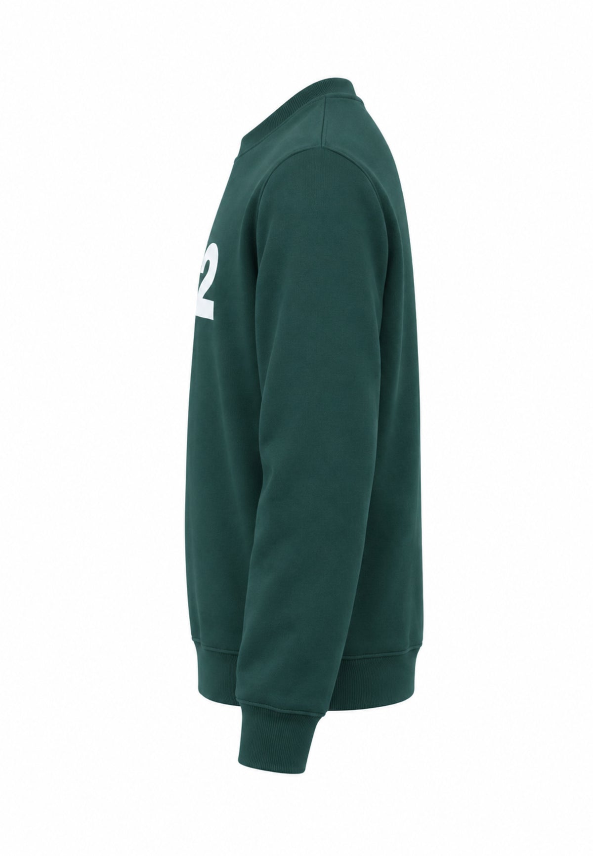 DS2 FELPA VERDE A GIROCOLLO CON LOGO CENTRALE Bambini e ragazzi F62K281.VER_