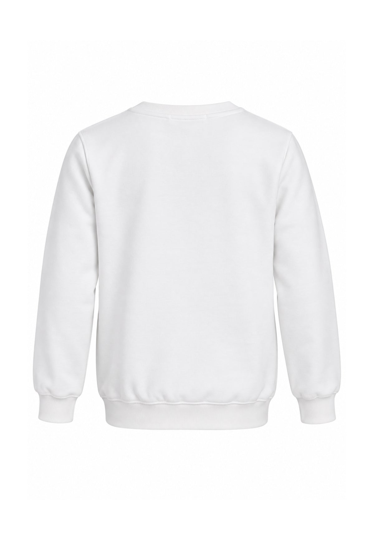 DS2 FELPA PANNA A GIROCOLLO CON LOGO COLORATO Bambini e ragazzi F62K207.PANNA_
