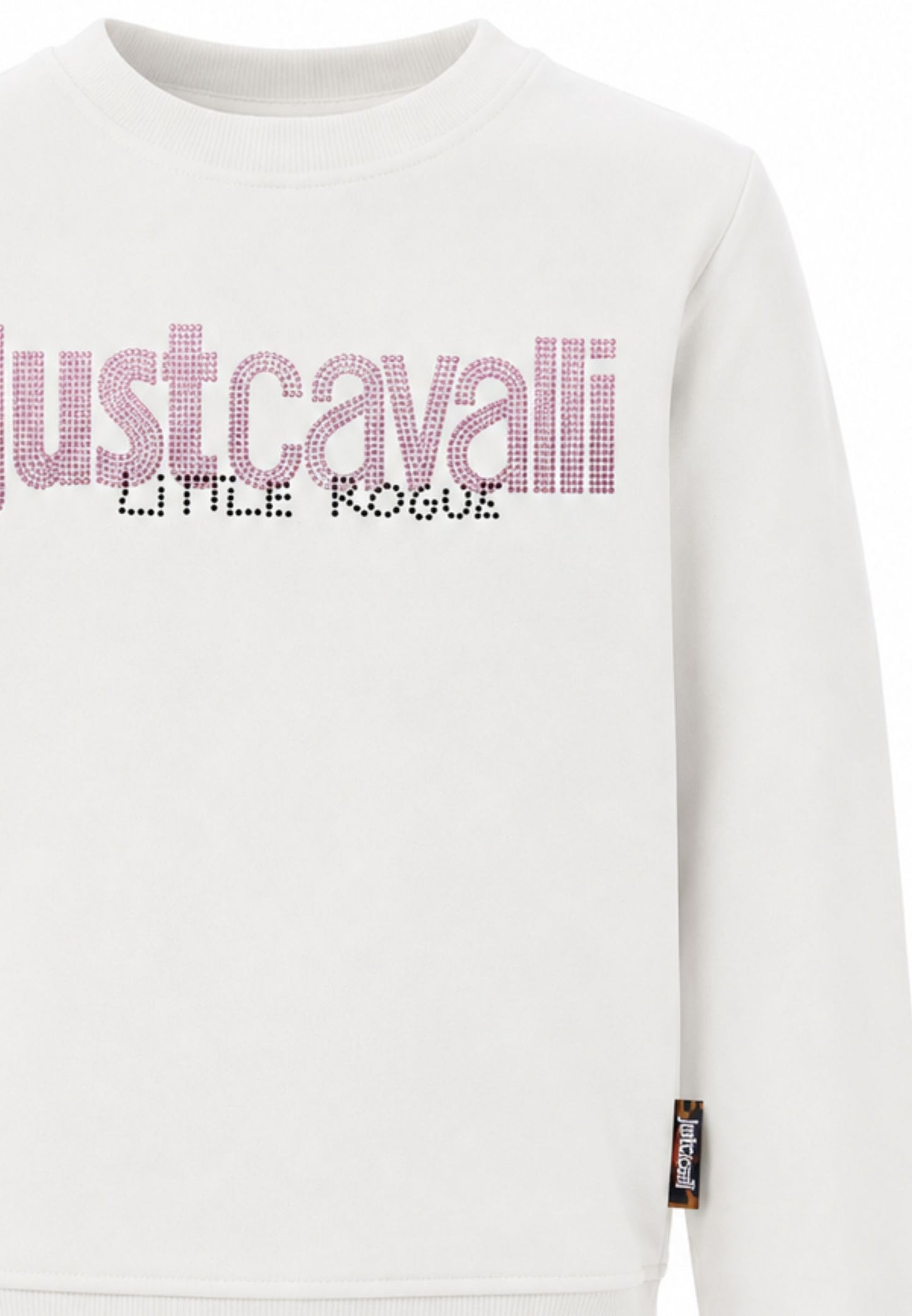 JUST CAVALLI felpa panna con logo rosa centrale con strass Bambine e ragazze jga26174fe.panna_