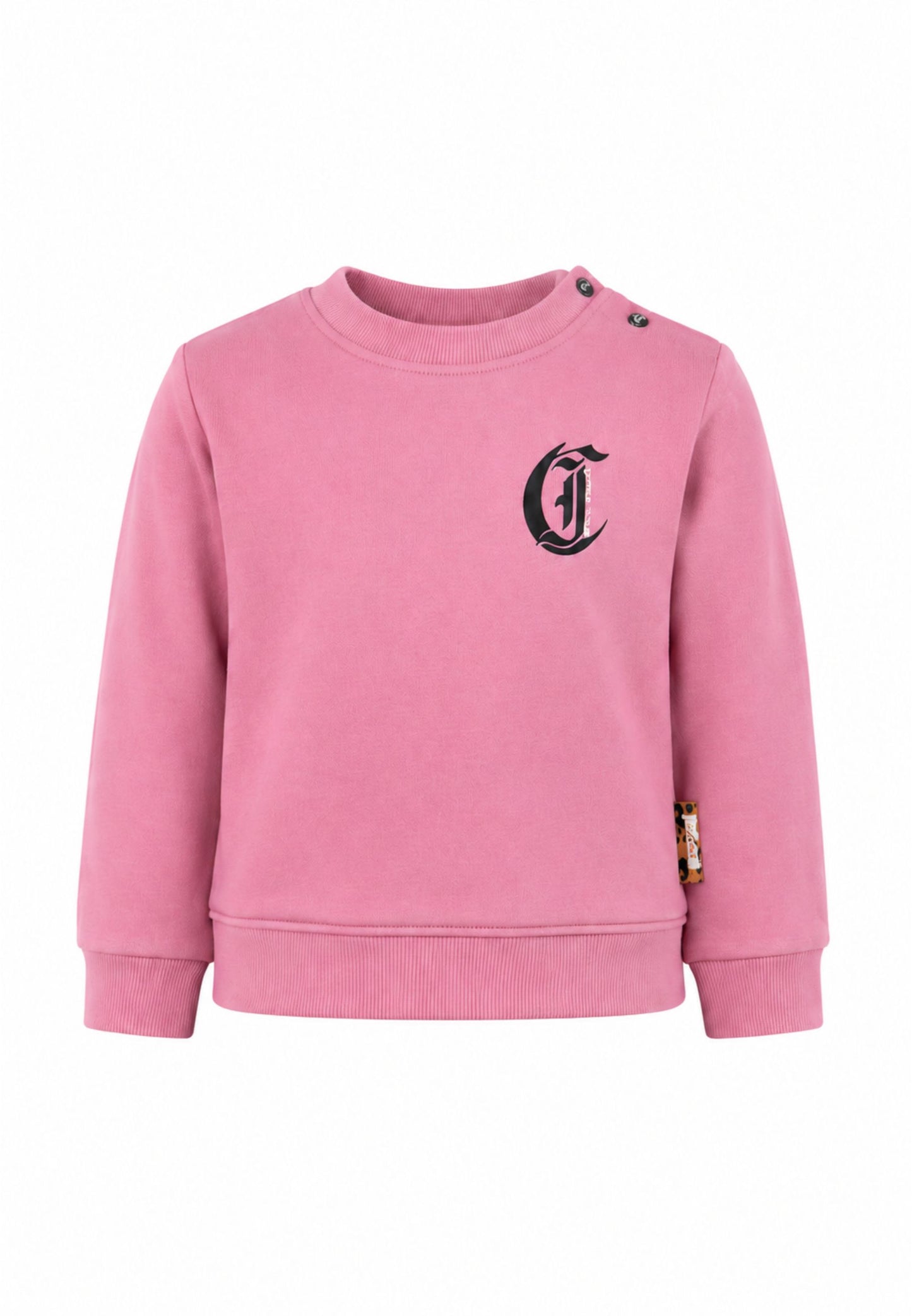 JUST CAVALLI completo rosa con felpa e leggings a zampa Bambine e ragazze jia26089cf.rosa_