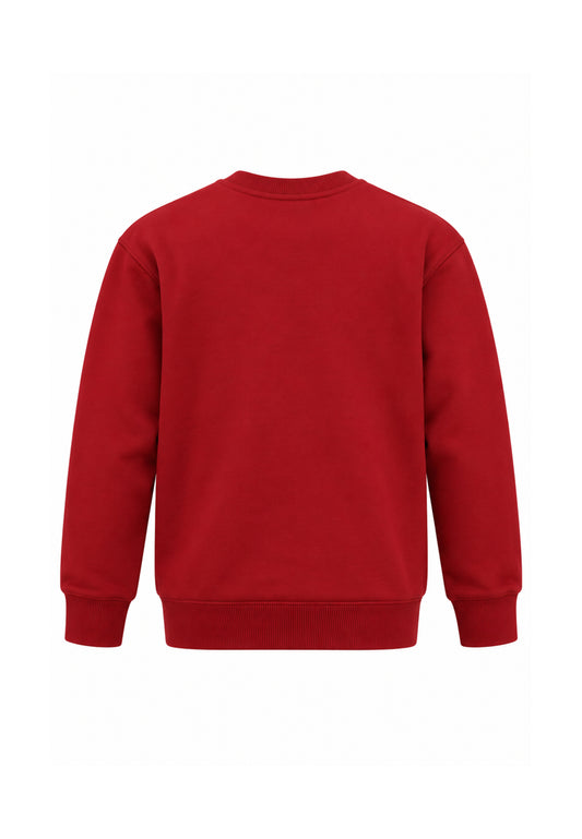 Diesel FELPA BORDEAUX GIROCOLLO OVERSIZE Bambini e ragazzi SXGINOVER.BORDEAUX_