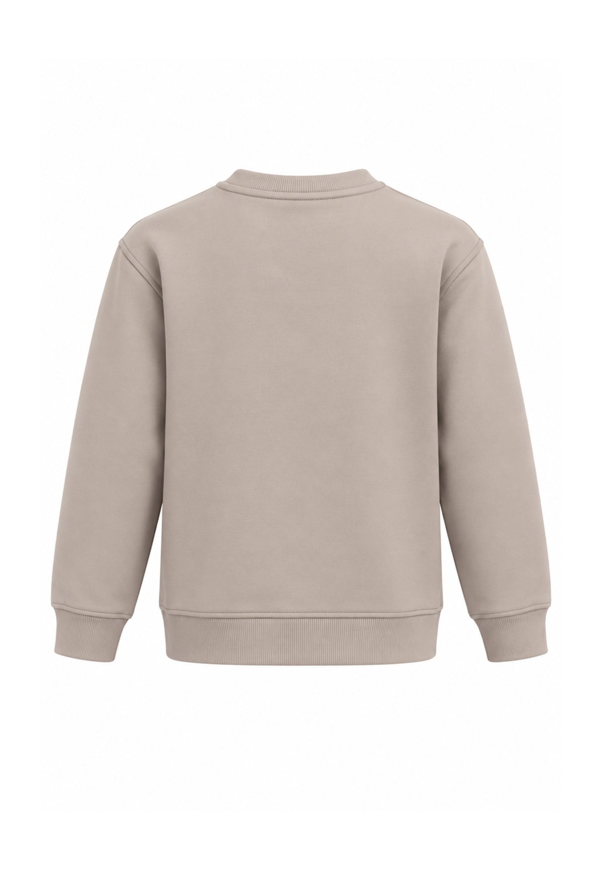 DATCH FELPA BEIGE A GIROCOLLO CON STRISCIA CENTRALE Bambini e ragazzi DTH2157.BEIGE_