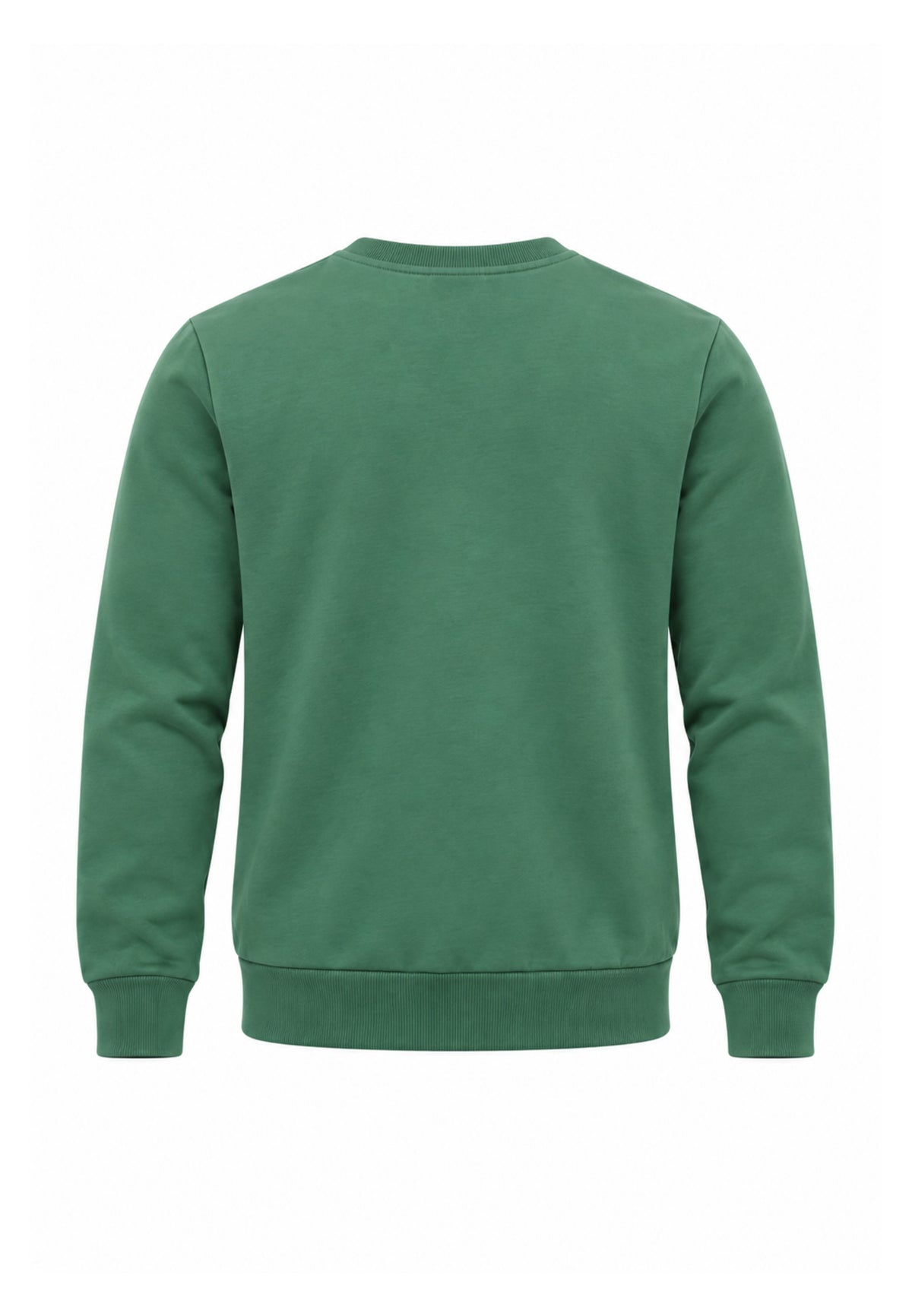 Refrigue TUTA VERDE GIROCOLLO CON MAXI LOGO Bambini e ragazzi 2831T00075.VER_