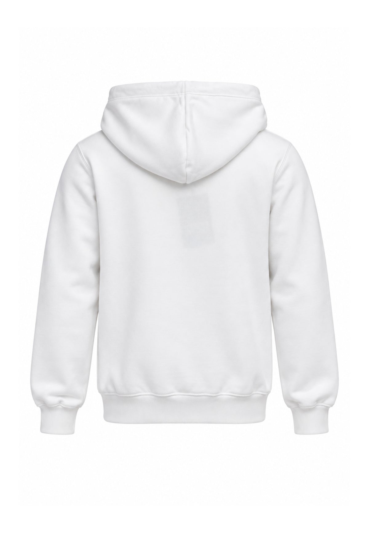 DS2 FELPA PANNA CON CAPPUCCIO E LOGO COLORATO CENTRALE Bambini e ragazzi F62K206.PANNA_