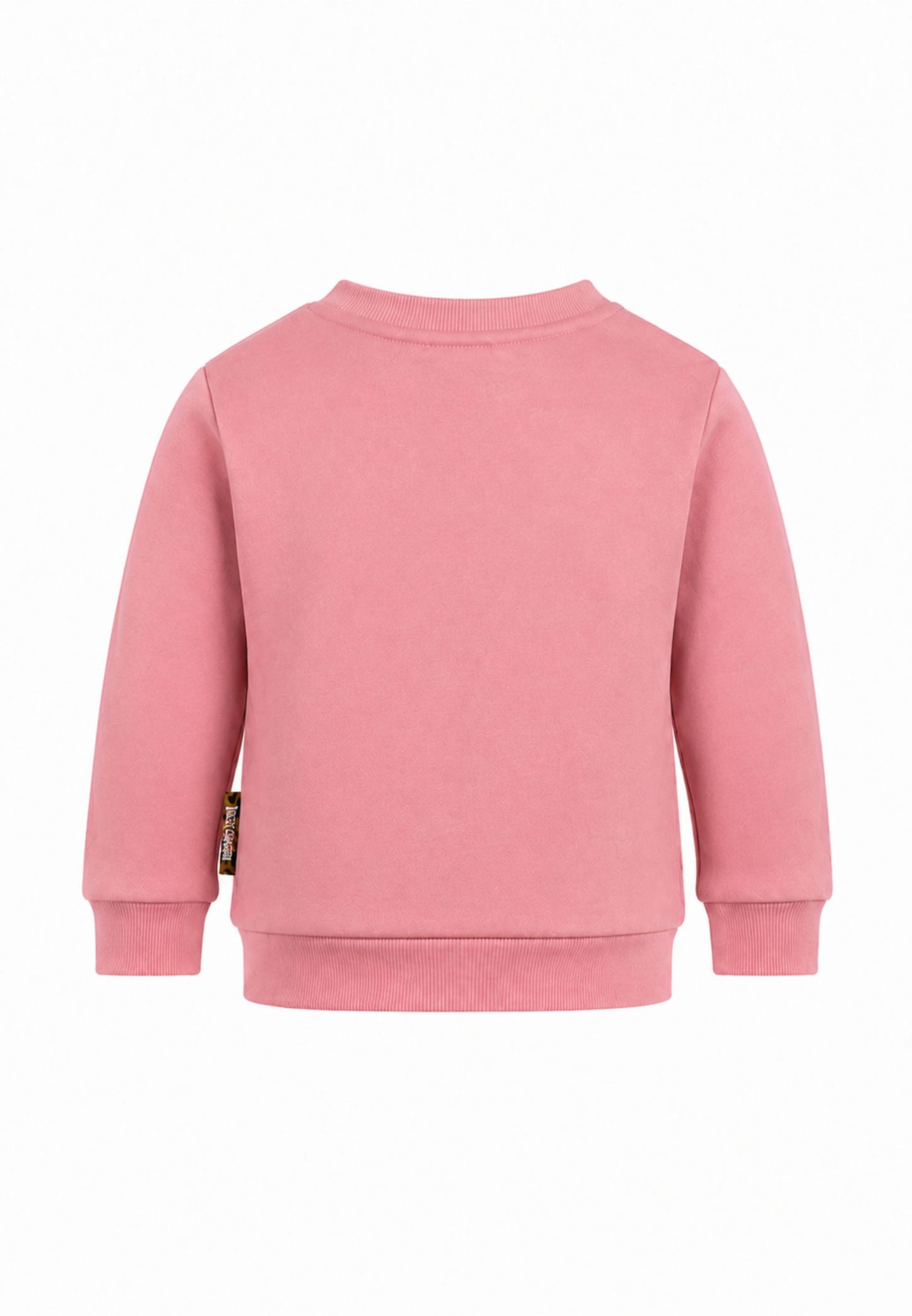 JUST CAVALLI completo rosa con felpa girocollo e leggings stretti Bambine e ragazze jia26021cf.rosa_